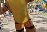 Tygrysek