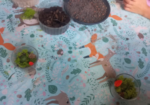 Zdjęcie 1 na 4