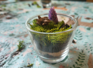 Szklane naczynie z miniaturowym lasem: warstwy piasku i ziemi, mech, szyszka oraz fioletowy kwiat, wykonane podczas zajęć przyrodniczych w przedszkolu.