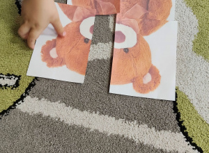 Dzień pluszowego misia